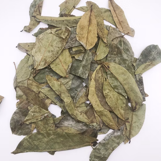 中国烏龍茶 安渓鉄観音烏龍茶 健康痩身茶 Bestes Teeblatt