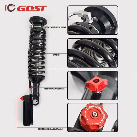 高品質 Gdst 窒素ガス調整可能なショックサスペンションリフトキットフォード F150 2014